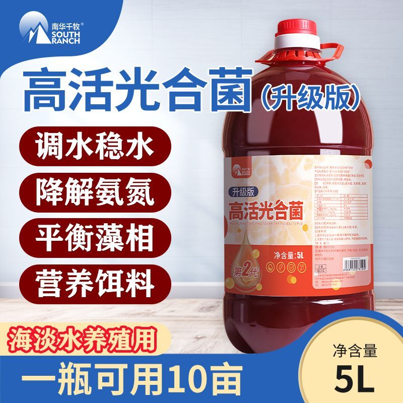 浓缩光合细菌菌种原种母种