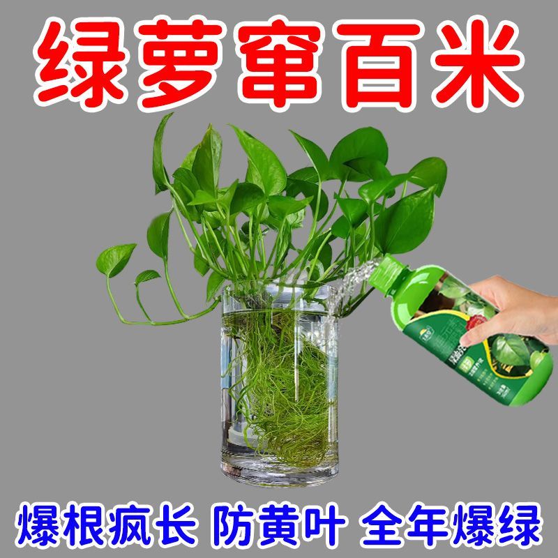绿萝专用营养液防黄叶免稀释肥料绿植缓释肥水培绿植绿萝氮肥