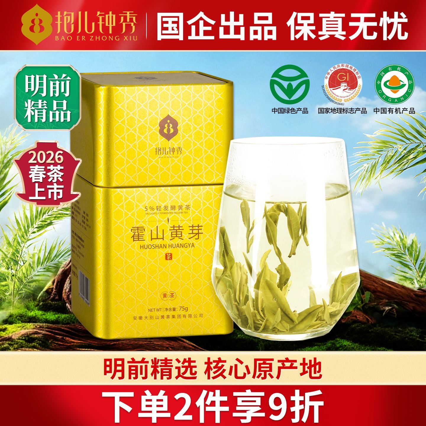 2026新茶 抱儿钟秀霍山黄芽高山正宗黄茶特级 闷黄 安徽六安茶叶