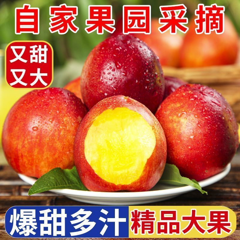 脆甜油桃新鲜当季桃子油桃黄心大果整箱批发大桃子黄心大油桃