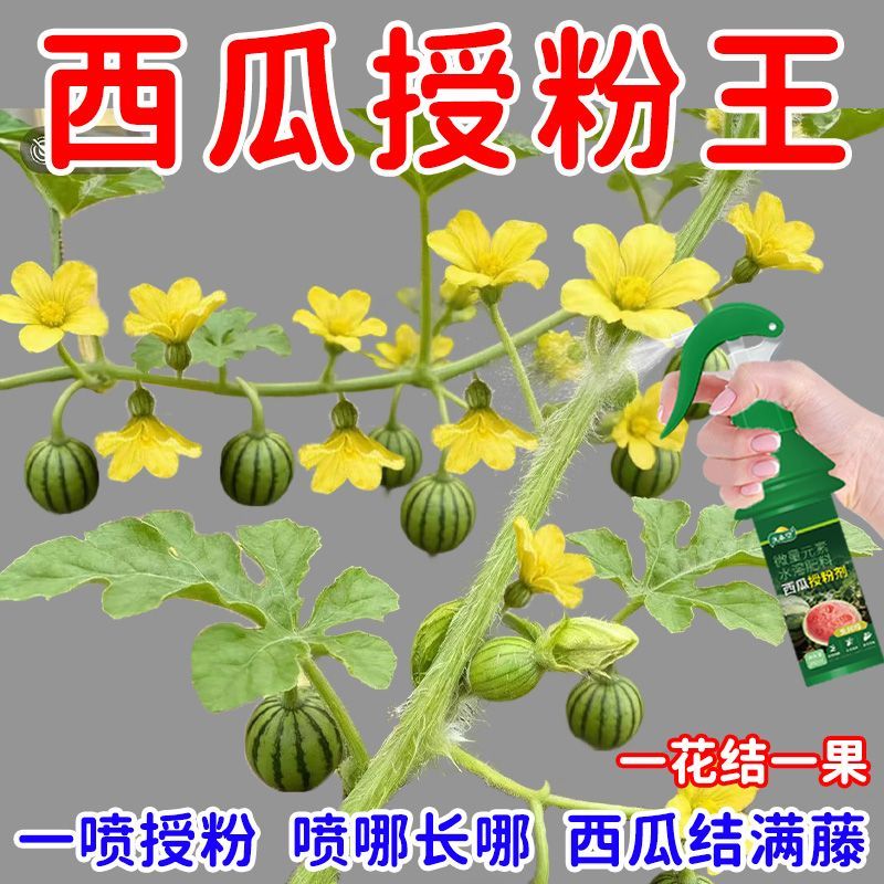 西瓜授粉专用药点花药免沾花授粉坐果精保花保果素防落防畸有机肥