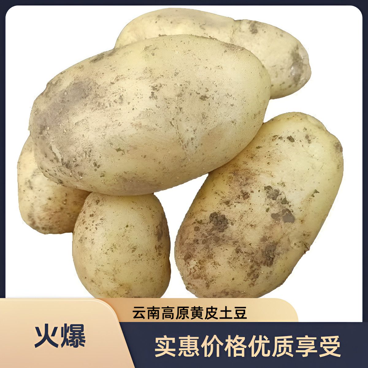 【雪山土豆】云南黄皮土豆1批发新鲜蔬菜现挖马铃薯洋芋3/5斤 图片 3