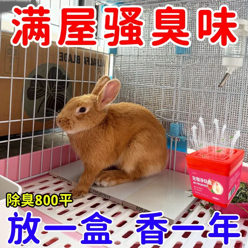 【全年不臭】兔子除味魔盒除臭室内去味狗猫去尿骚味宠物异味用品 图片 2