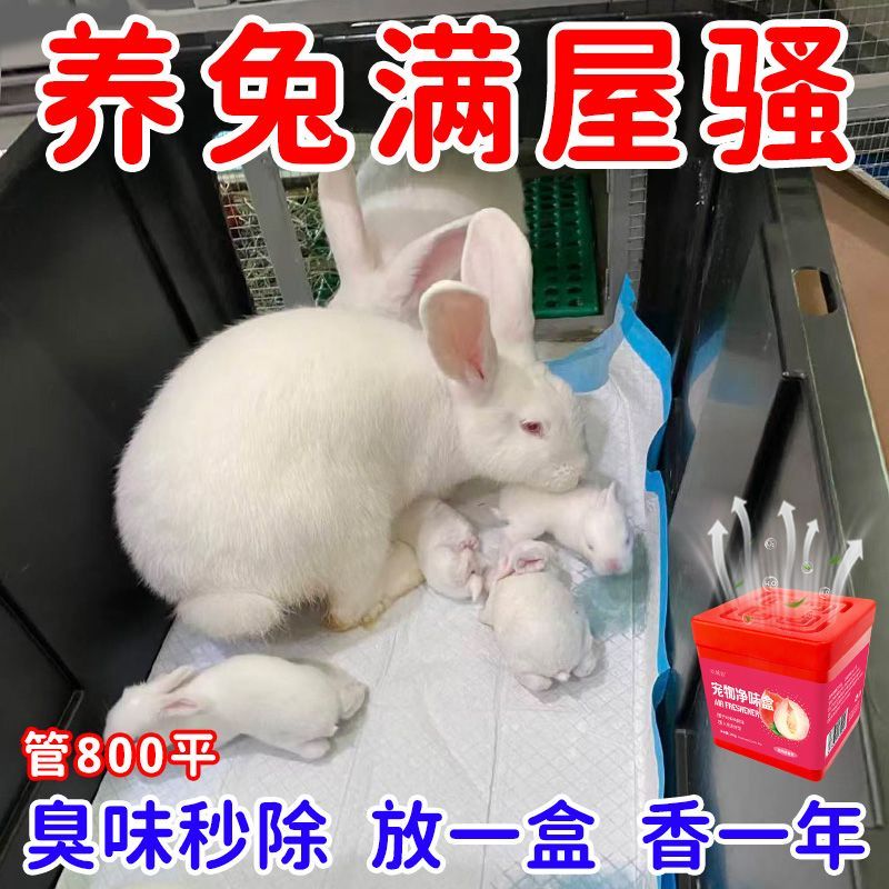 全年不臭兔子除味魔盒除臭室内去味狗猫去尿骚味宠物异味用品
