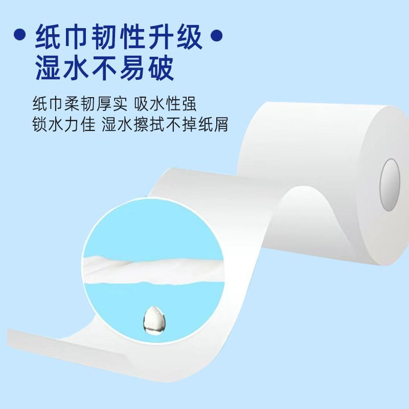【40卷全年装/10卷】雅诗澜有芯卫生纸空心卷纸大卷家用厕纸巾 图片 9