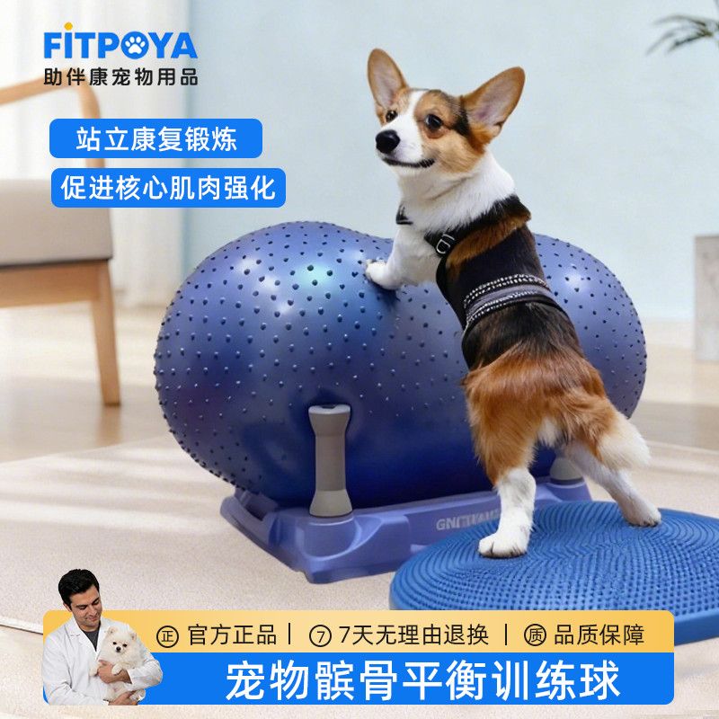 狗狗康复健身训练器材宠物瘫痪锻炼花生球髌骨脱位后腿力量强化垫
