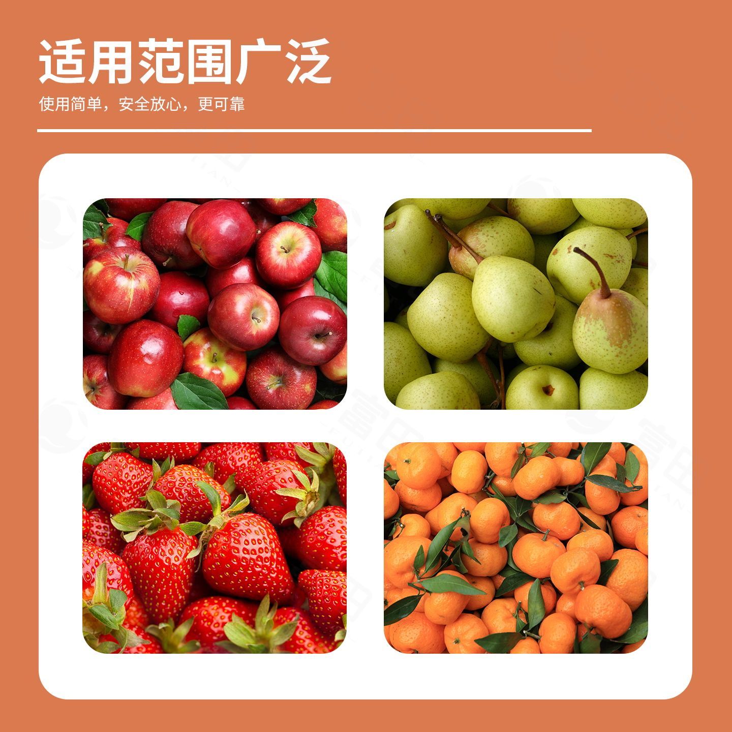 富田防落膨果剂果树瓜果增香增甜防落防裂膨大果实增韧水溶肥料 图片 4