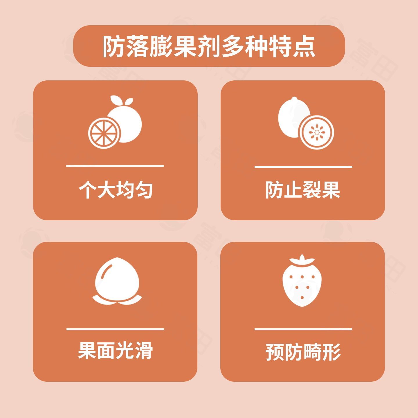 富田防落膨果剂果树瓜果增香增甜防落防裂膨大果实增韧水溶肥料 图片 3