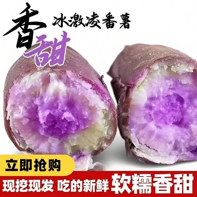 广东一点红新鲜正宗冰淇淋番薯沙地紫心板栗香甜红薯花心地瓜现挖 图片 2