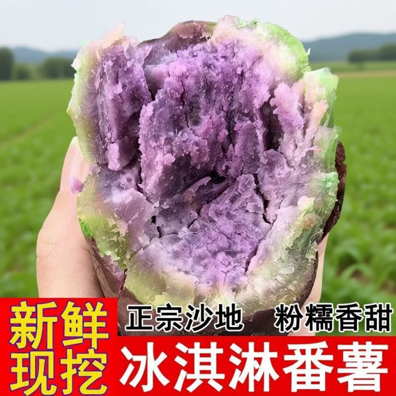 广东一点红新鲜正宗冰淇淋番薯沙地紫心板栗香甜红薯花心地瓜现挖 图片 3
