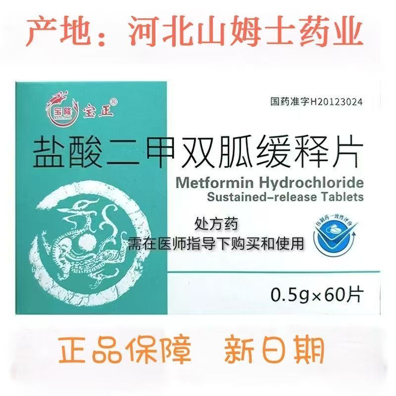 宝隆宝正 盐酸二甲双胍缓释片 0.5g60片盒 正品保障处方药