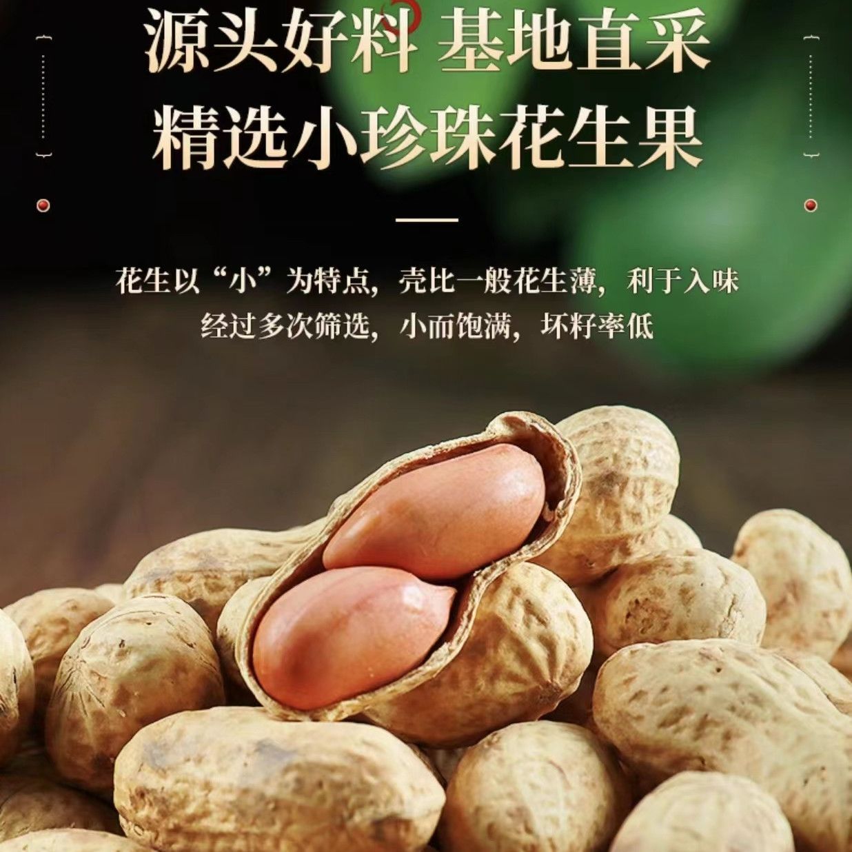 净重精选农家铁锅炒花生2025新货带壳熟花生口感香脆零食年货批发