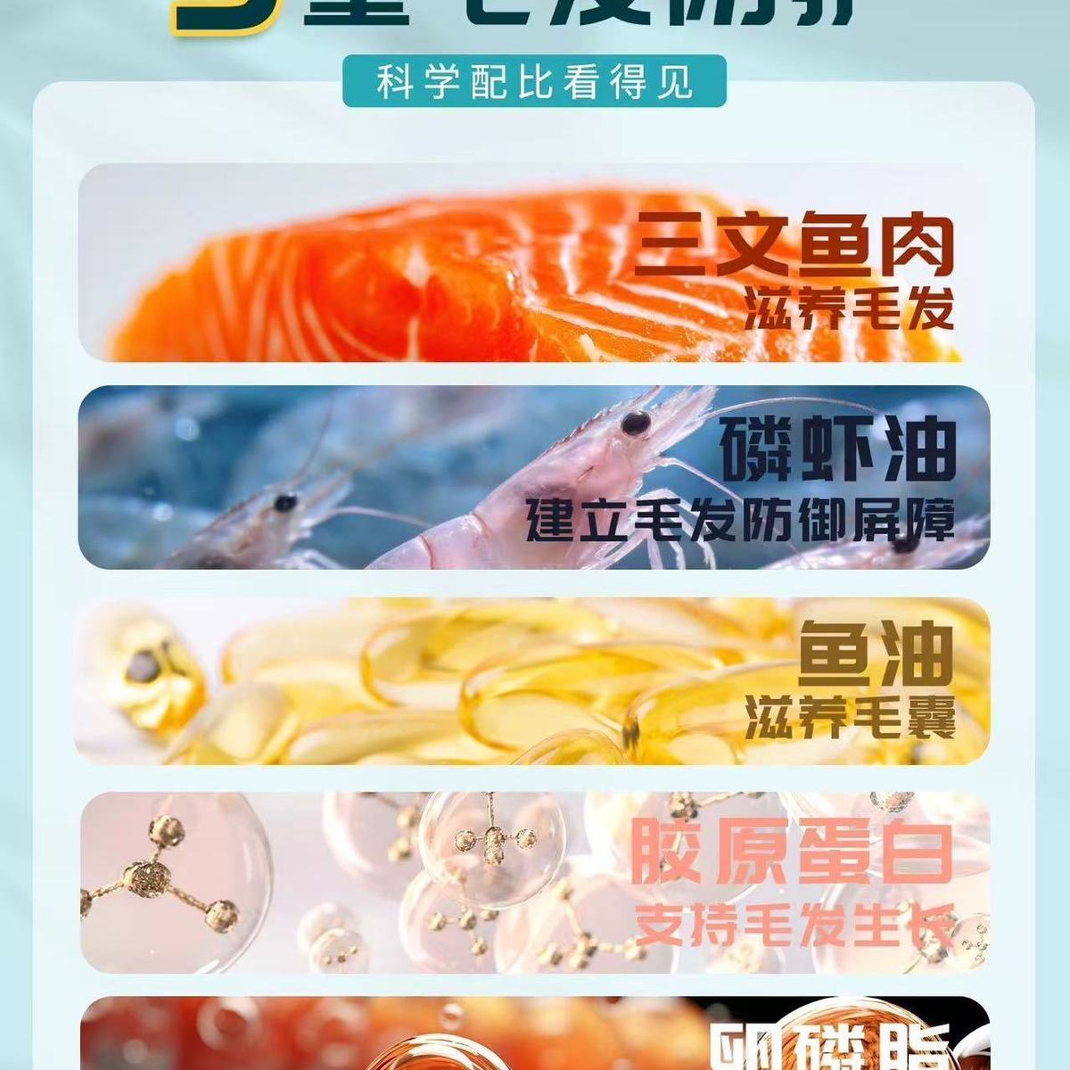 胖福蒂三文鱼鱼油猫粮1.5kg家庭实惠全价冻干猫主粮美毛深海鳕鱼