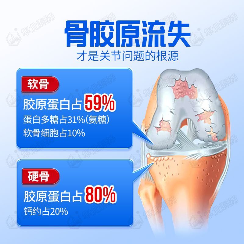 【抖音同款】正品华北制药升级款非变性Ⅱ型骨胶原蛋白片关节膝盖 图片 4