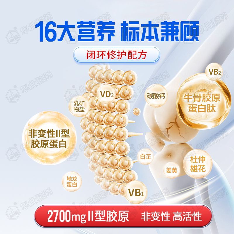 【抖音同款】正品华北制药升级款非变性Ⅱ型骨胶原蛋白片关节膝盖 图片 6