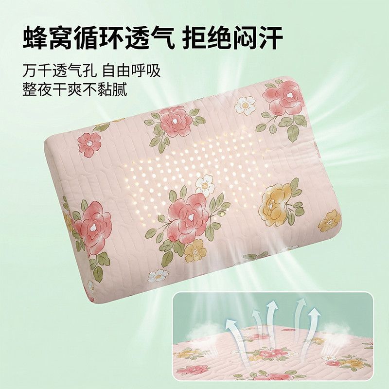 夏季乳胶枕套60X40CM一对高档新款记忆枕头套装一只30X50加厚枕套 图片 10