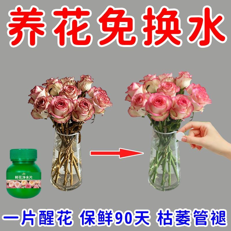 鲜花保鲜消毒片水养花卉保鲜剂净化水质花期延长剂持久花店通用