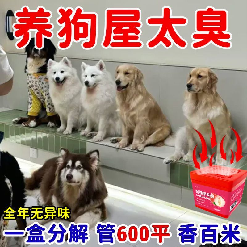 天然除臭宠物除味魔盒除臭室内去味狗猫去尿骚味宠物异味用品