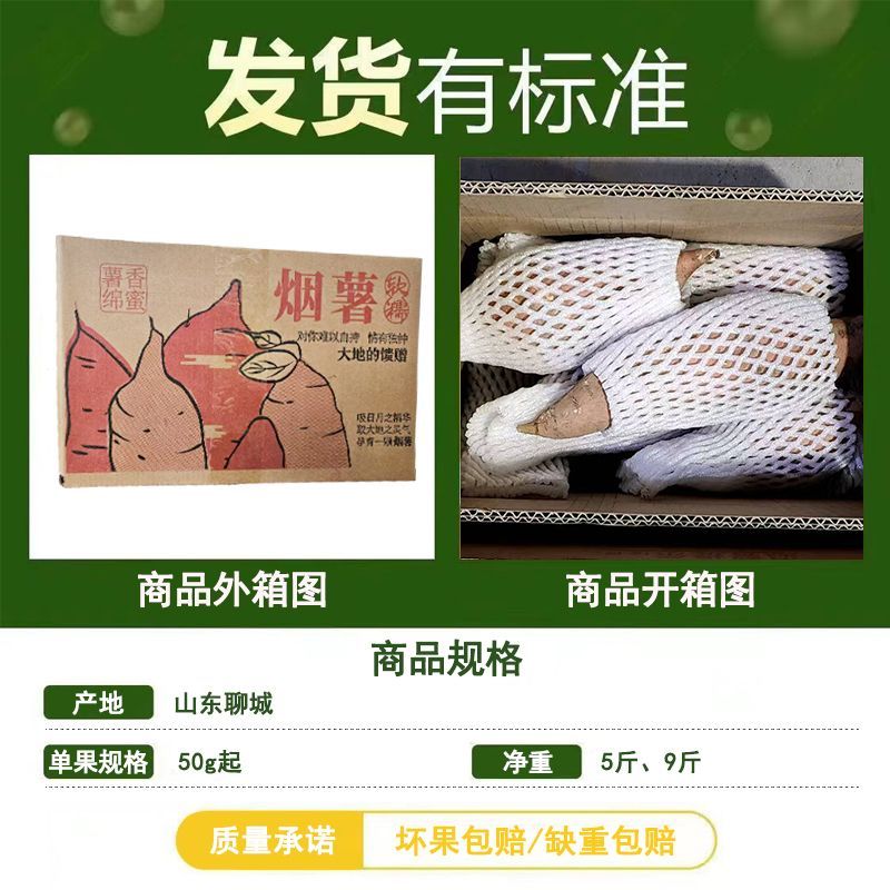 山东烟薯25号沙地蜜薯糖心红薯软糯甜番薯山芋流油烤地瓜批发当季 图片 2