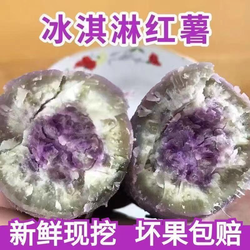 广东一点红新鲜正宗冰淇淋番薯沙地紫心板栗香甜红薯花心地瓜现挖 图片 8