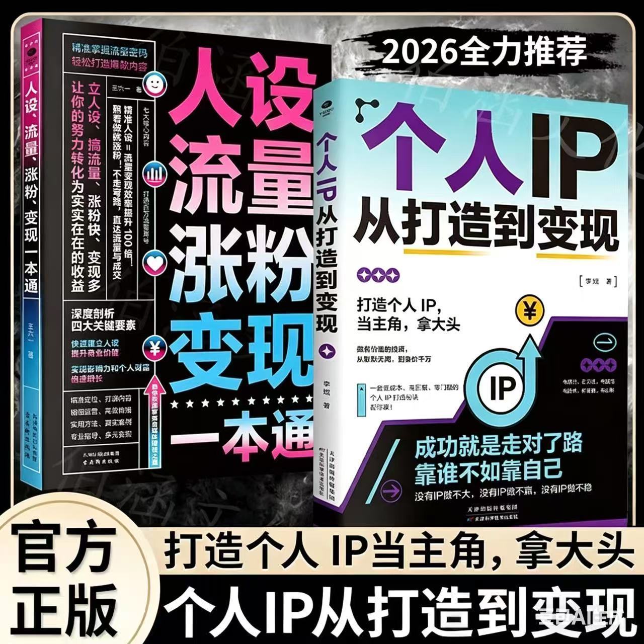 2026热门推荐市IP时代王六一人设全攻略:流量涨粉+变现一本通