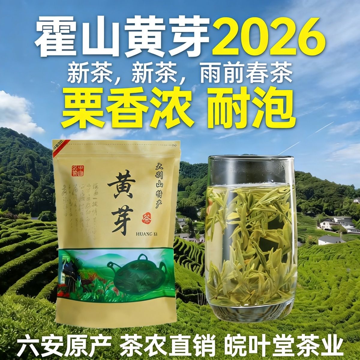 霍山黄芽正宗2026新茶叶栗香口粮茶浓香耐泡等级雨前口粮茶