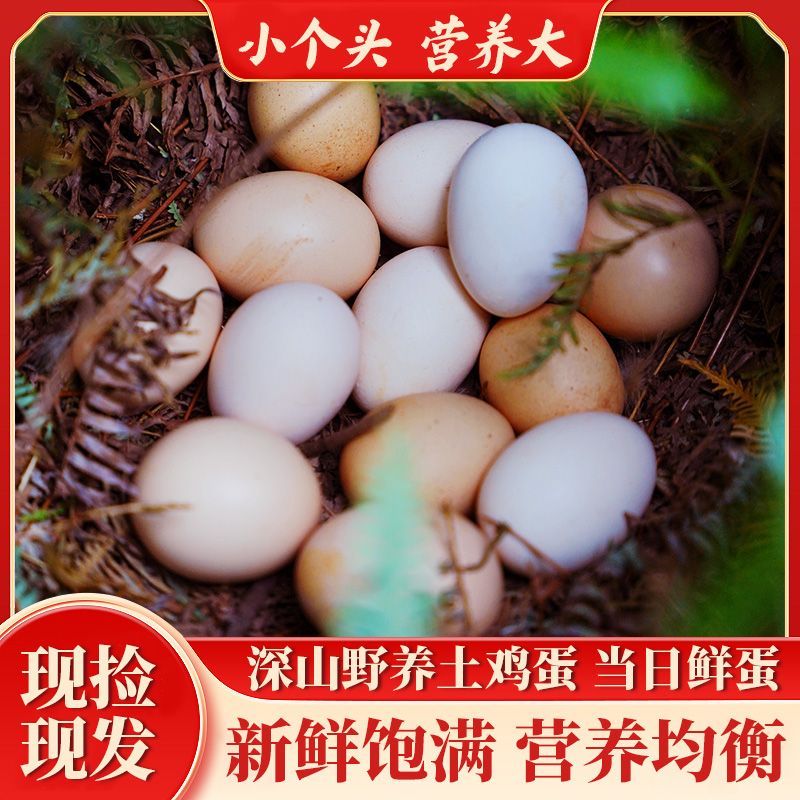 送货上门正宗农家山林散养土鸡蛋新鲜衡阳湘黄土鸡蛋营养蛋整箱批