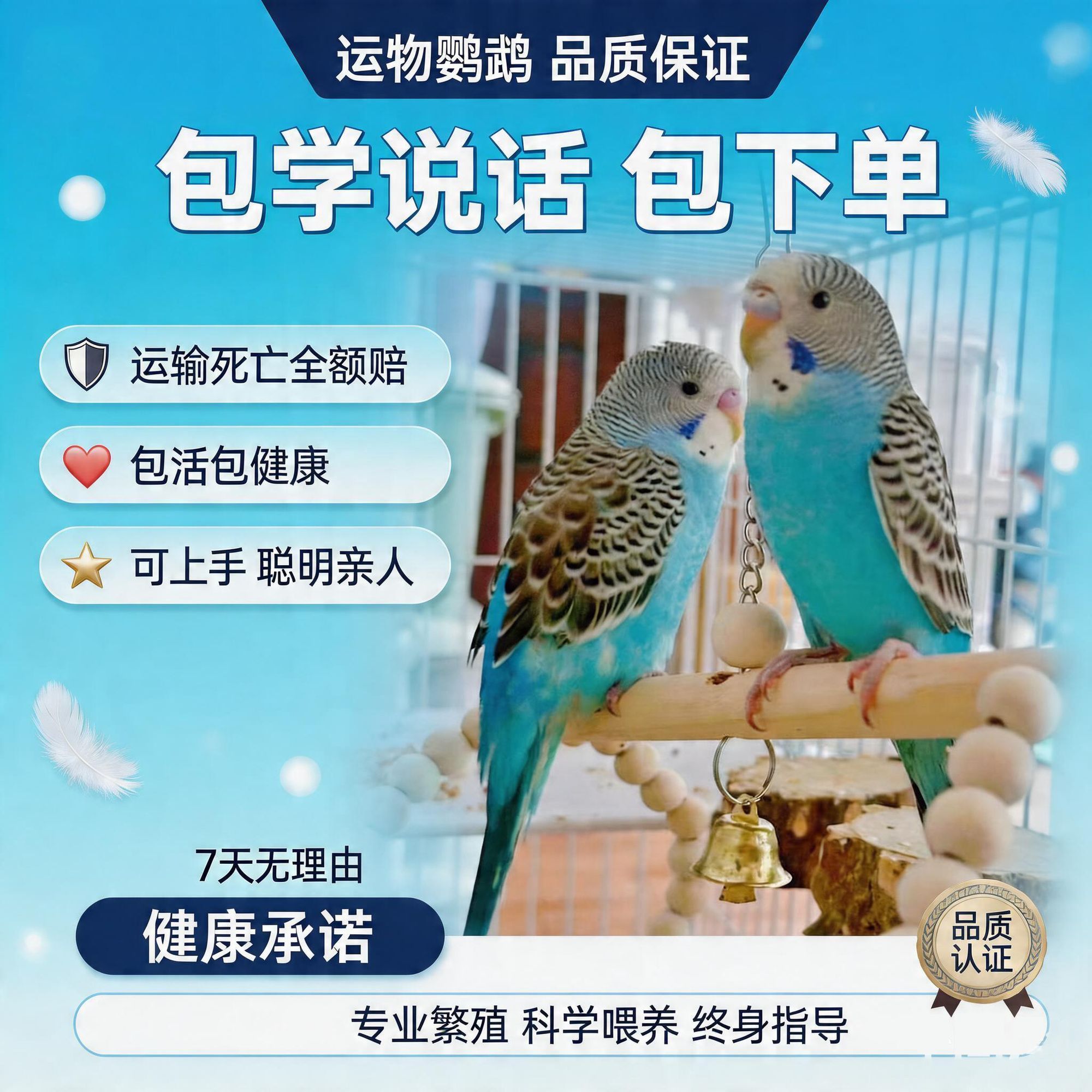 精品虎皮鹦鹉鸟活云斑会说话幼雏幼仔宠物小鸟类公母一对可繁殖