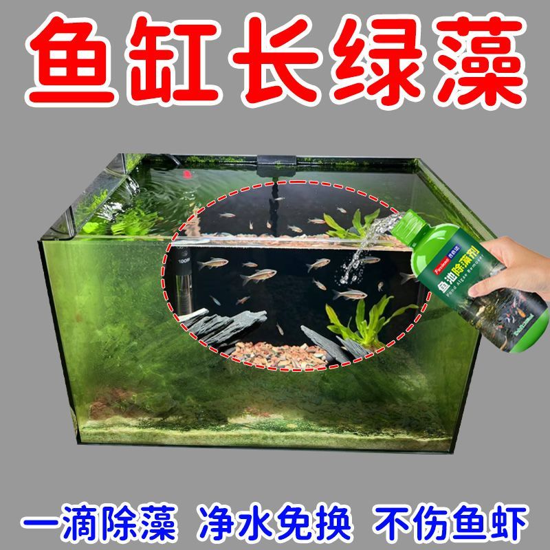鱼缸除藻剂去苔剂绿藻青苔清除剂去除绿水褐藻丝藻黑藻不伤鱼灭藻 图片 2