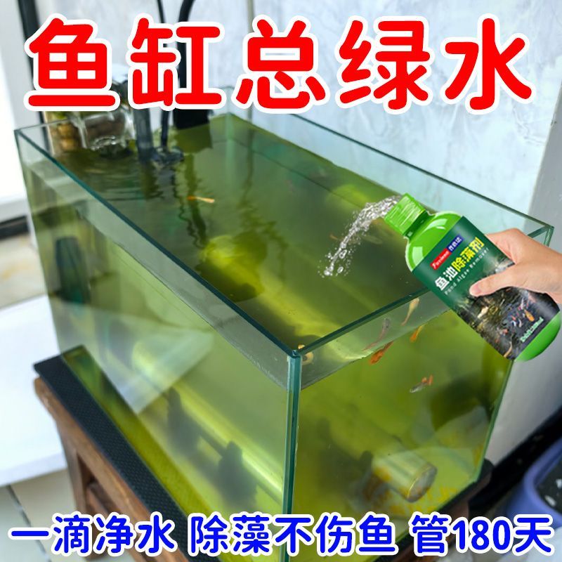 鱼缸除藻剂去苔剂绿藻青苔清除剂去除绿水褐藻丝藻黑藻不伤鱼灭藻 图片 4
