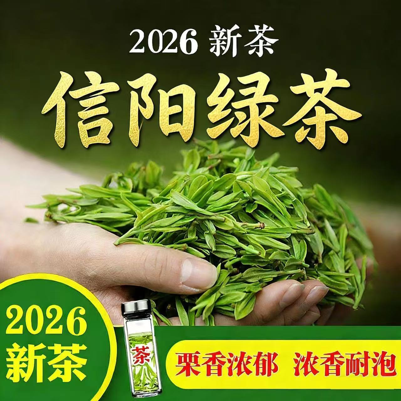 信阳毛尖2026绿茶雨前嫩芽春茶浓香型自产自销250g散装