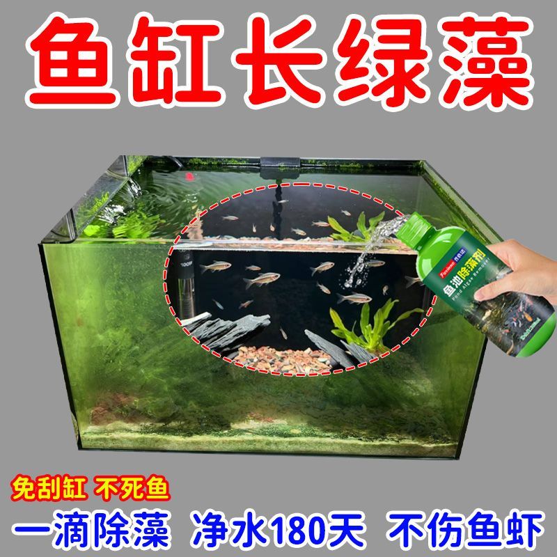 鱼缸除藻剂去苔剂绿藻青苔清除剂去除绿水褐藻丝藻黑藻不伤鱼灭藻