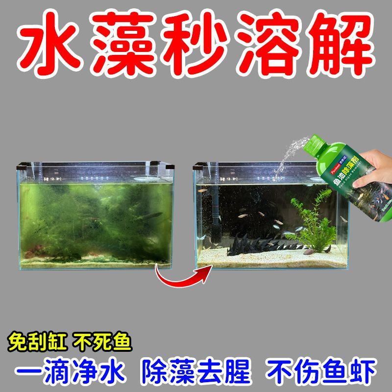 鱼缸除藻剂去苔剂绿藻青苔清除剂去除绿水褐藻丝藻黑藻不伤鱼灭藻 图片 3