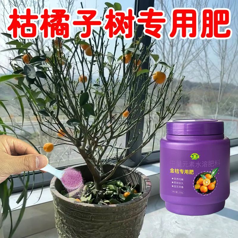 金桔专用肥料金桔树专用营养液金桔保花保果防落果催芽防叶子发黄 图片 6