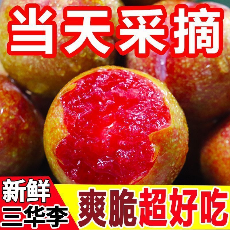 (爆款)新鲜现摘正宗三华李孕妇红心三华李当季水果特大果酸脆 图片 4