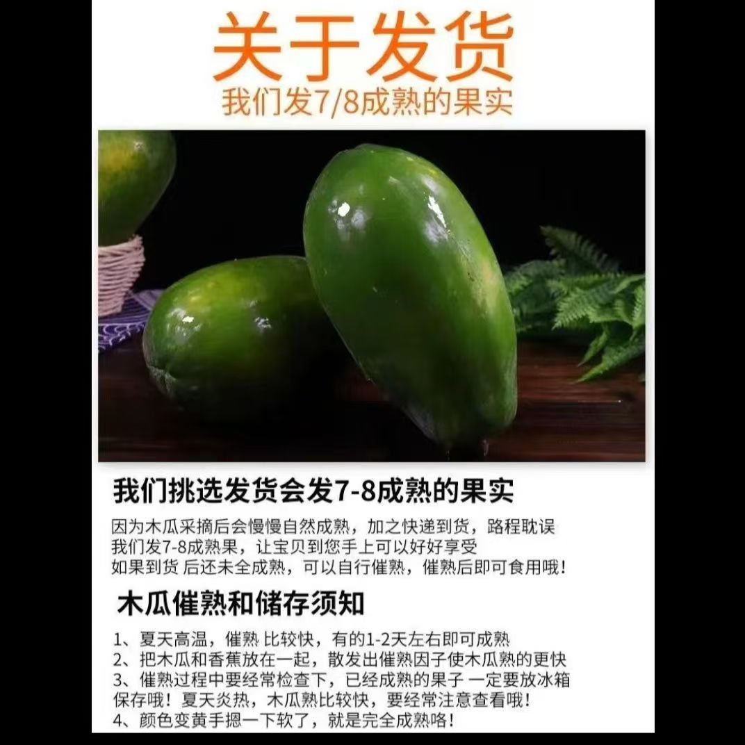 新鲜木瓜新鲜现摘鲜嫩多汁树上自然熟孕妇产妇 图片 8