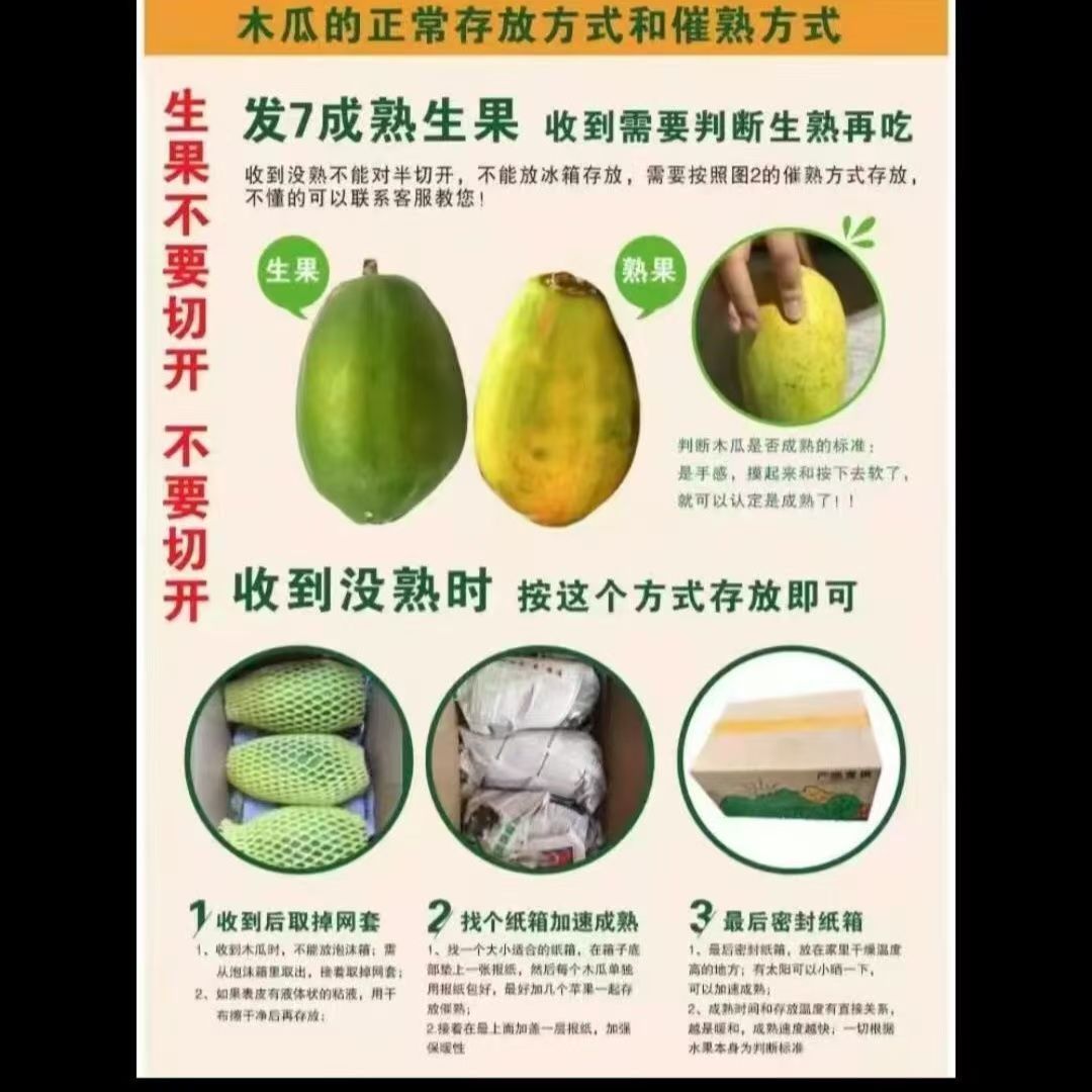 新鲜木瓜新鲜现摘鲜嫩多汁树上自然熟孕妇产妇 图片 9