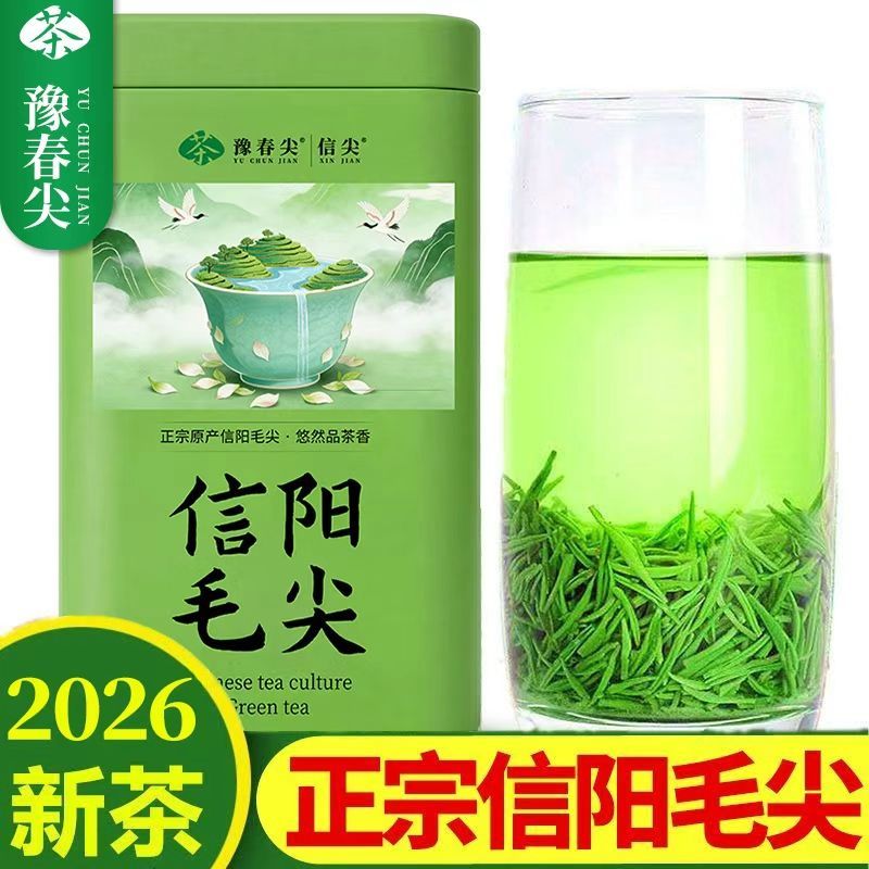 正宗嫩芽1斤2026明前特级信阳手工毛尖新茶叶浓香耐泡绿茶批发价