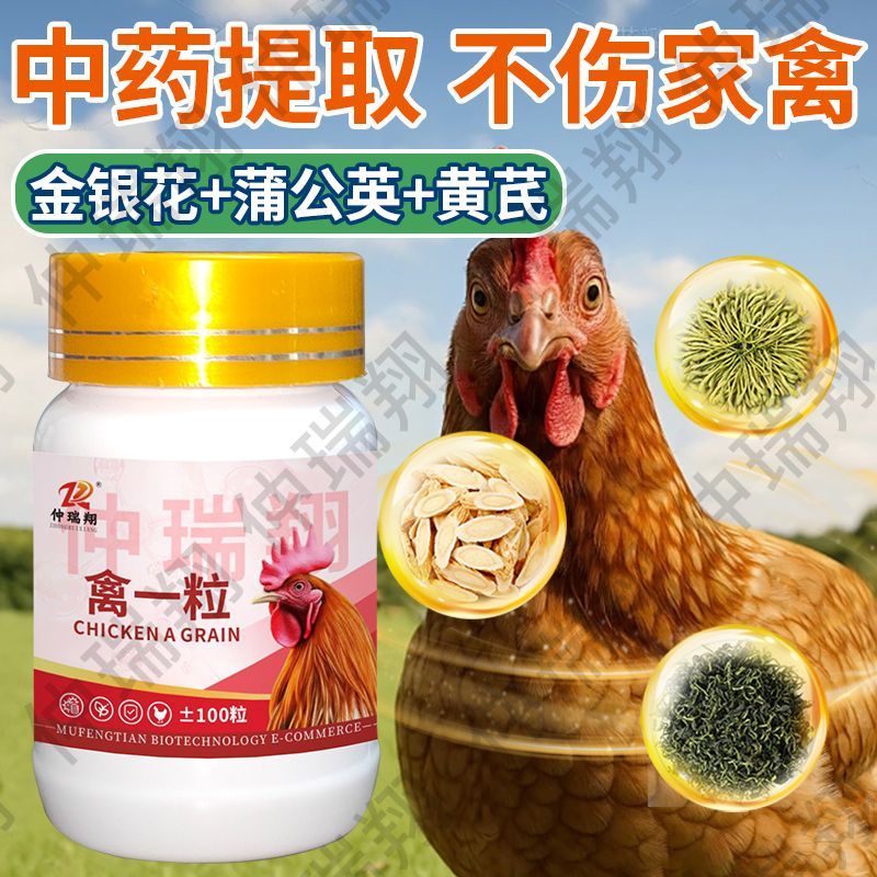 正品禽一粒鸡瘟药特快鸭鹅拉稀发烧感冒呼噜缩脖兽用喂鸡鸡药大全 图片 8