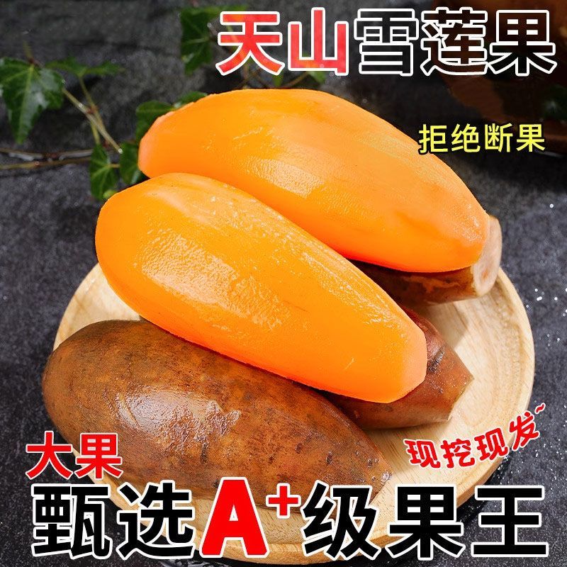 【脆甜】云南天山雪莲果新鲜现挖黄心果红心大果整箱孕妇新鲜水果