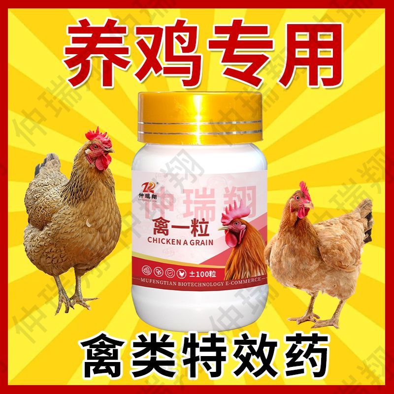 正品禽一粒鸡瘟药特快鸭鹅拉稀发烧感冒呼噜缩脖兽用喂鸡鸡药大全 图片 7