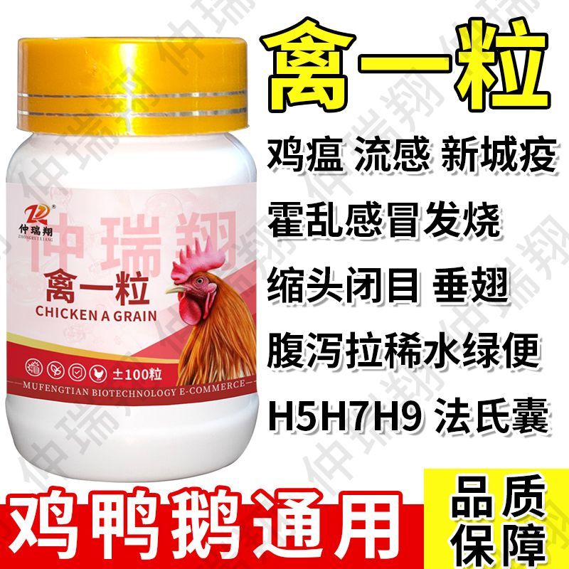 正品禽一粒鸡瘟药特快鸭鹅拉稀发烧感冒呼噜缩脖兽用喂鸡鸡药大全 图片 4