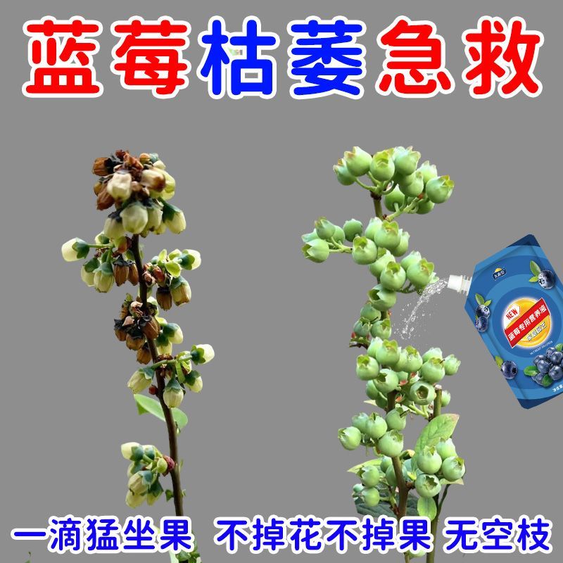 干瘪急救蓝莓专用肥促花促果防黄叶促发芽生长期挂果增甜水溶肥