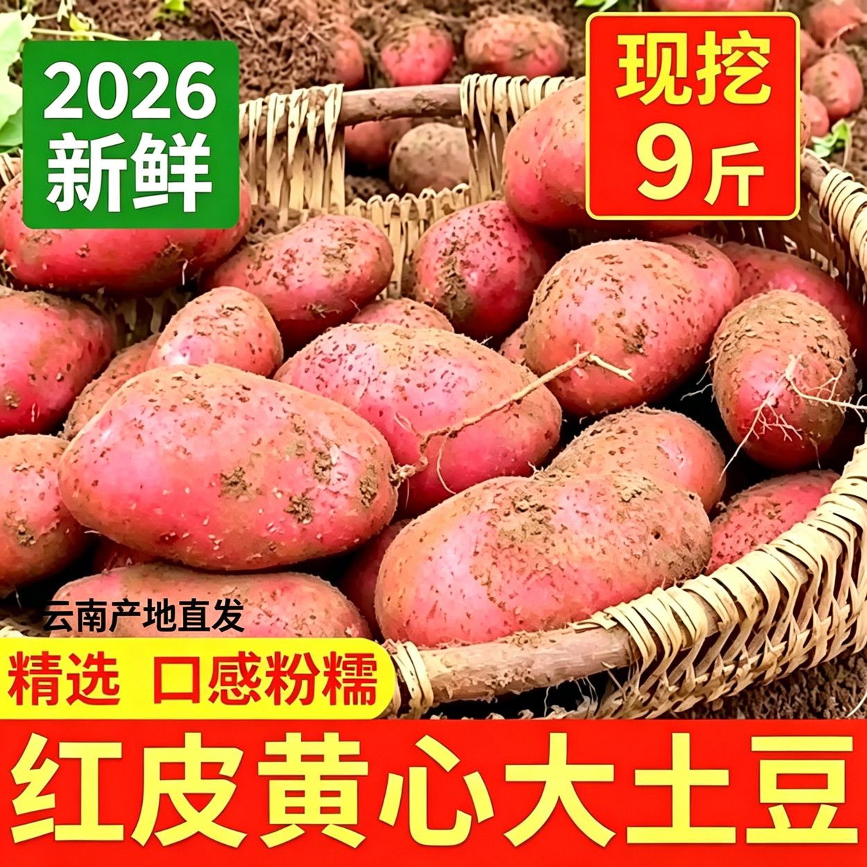 2026正宗云南红皮土豆现挖农家黄心洋芋马铃薯新鲜蔬菜批发 图片 7