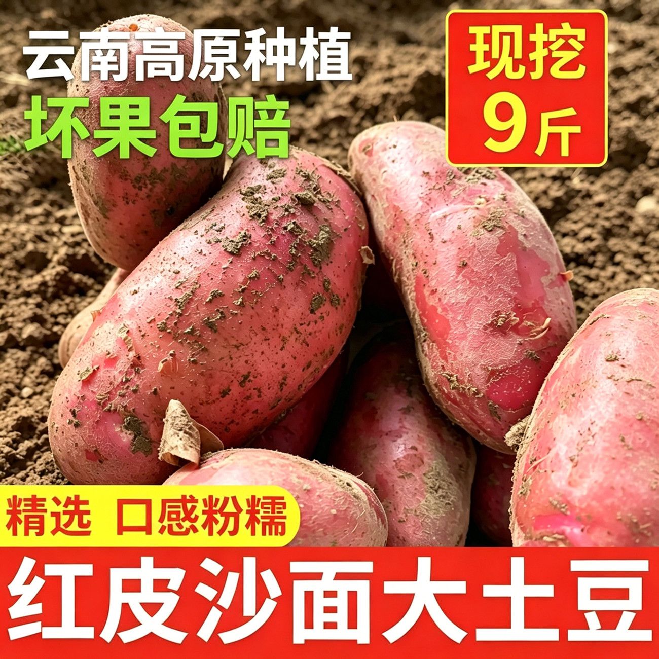2026正宗云南红皮土豆现挖农家黄心洋芋马铃薯新鲜蔬菜批发 图片 3