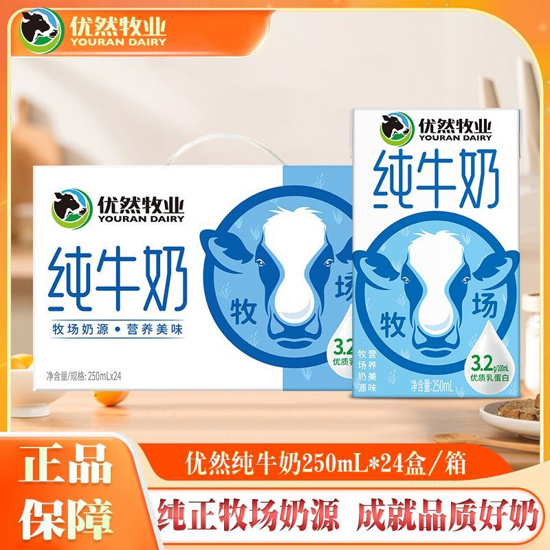 6月产 优然牧业纯牛奶250ml*24盒整箱早餐纯牛奶全脂特价 图 2