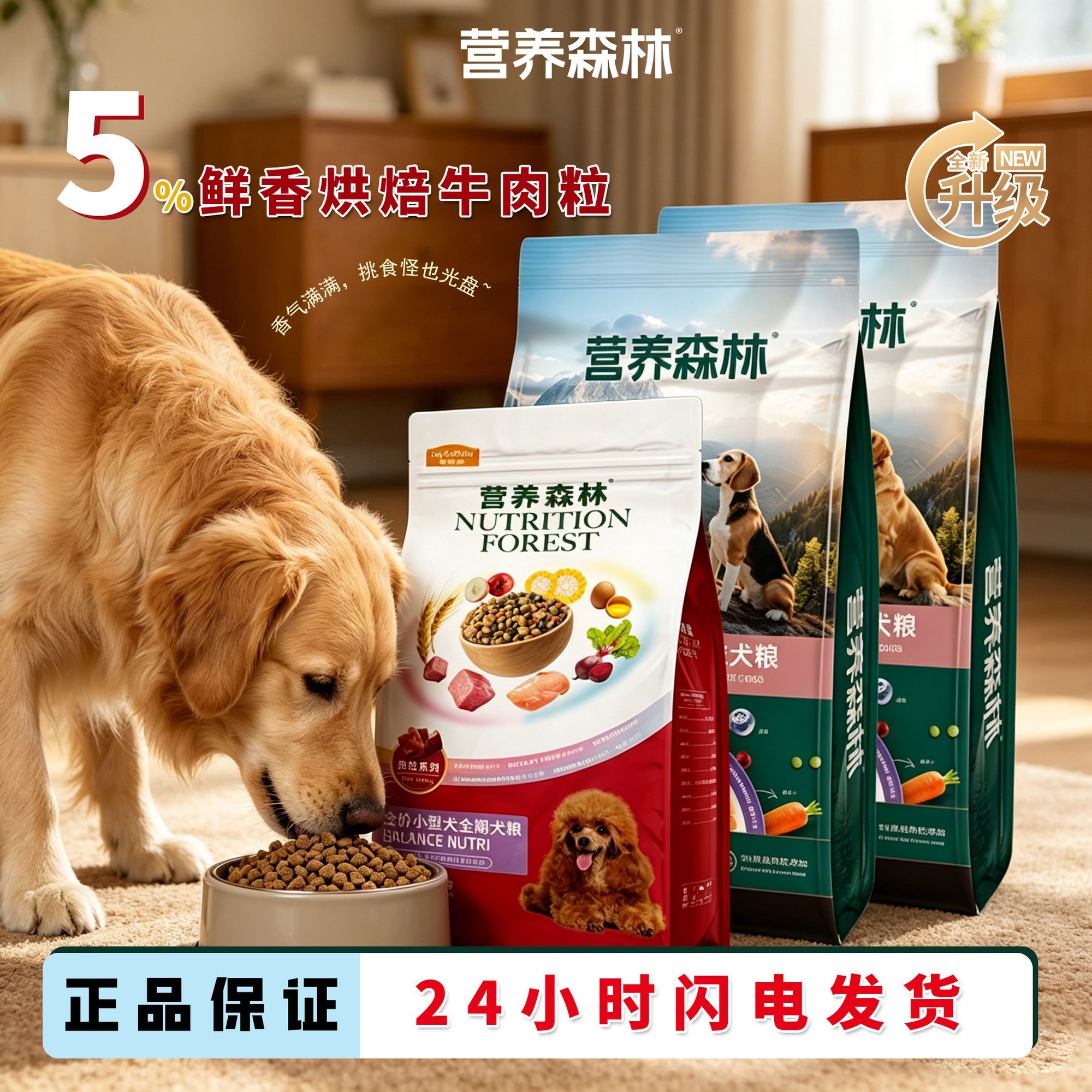 营养森林彩虹烘培牛肉粒通用型小型中大型营养狗粮批发20斤