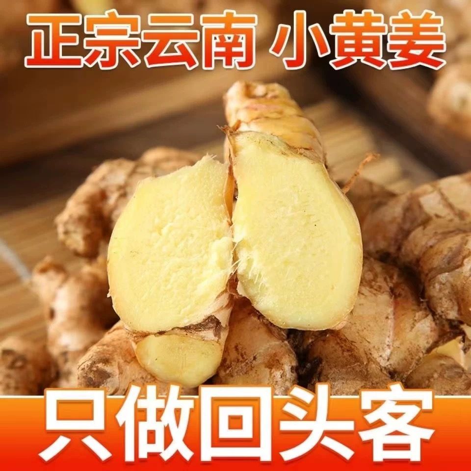 两年老姜正宗云南山地小黄姜新鲜现挖辛辣味十足炒菜煲汤调料