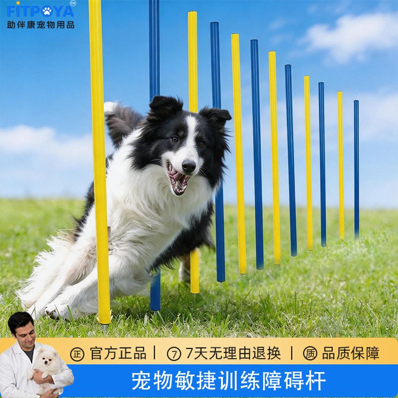 宠物敏捷训练障碍杆狗狗户外训练用品训犬用品障碍训练互动边牧