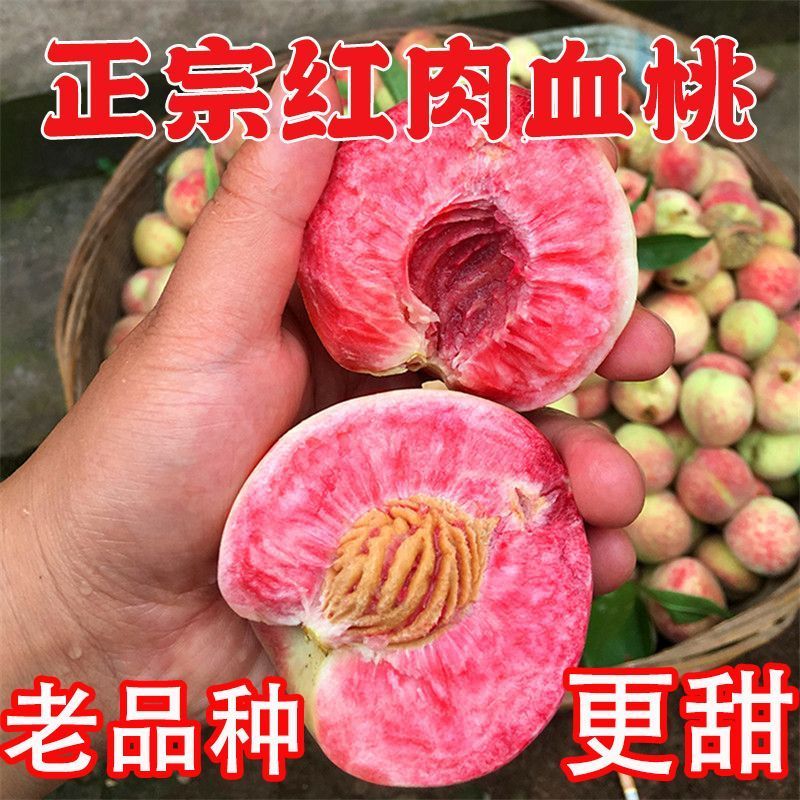 朱砂红胭脂红血桃新鲜水果红肉当季孕妇红心毛脆桃子开园首卖冷链6月19日发完